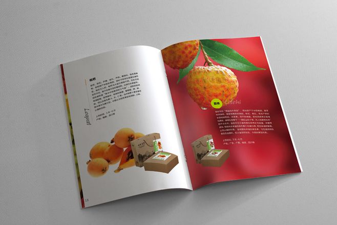 宣傳冊設(shè)計(jì)一般一頁多少錢？宣傳冊的特點(diǎn)有哪些？
