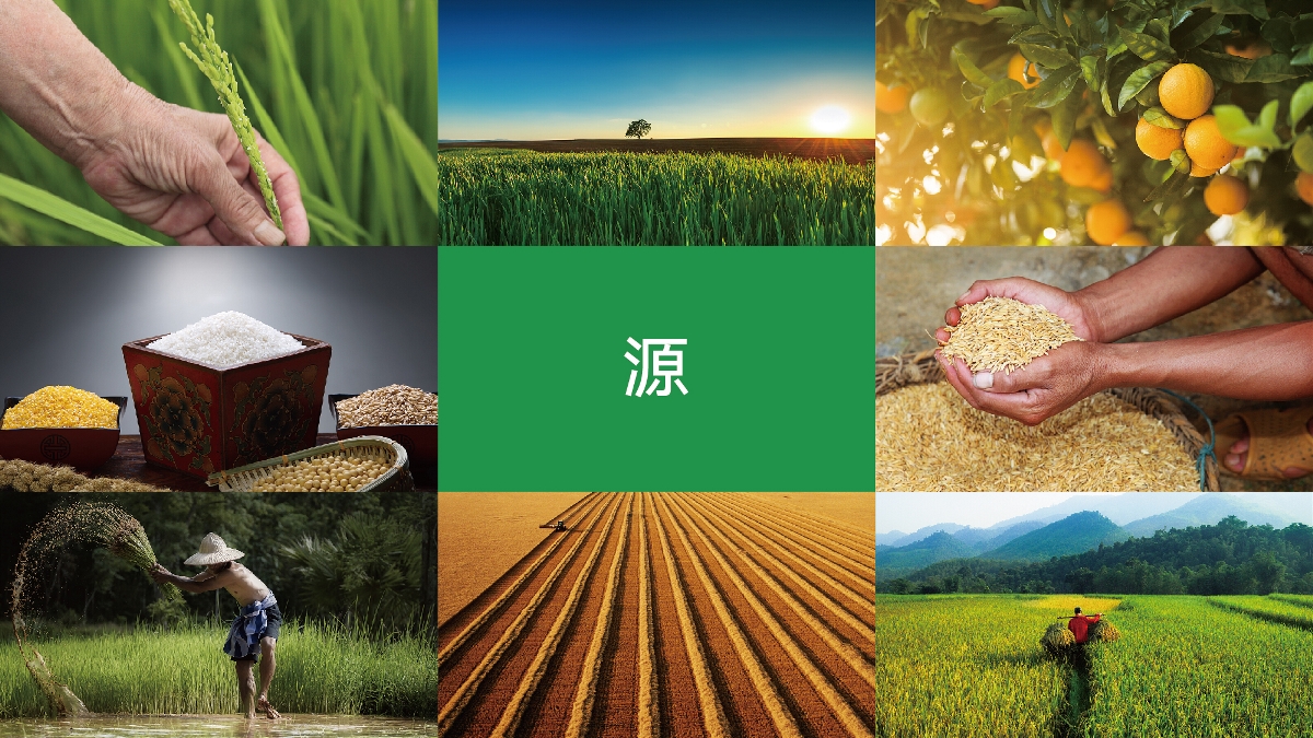 農(nóng)產(chǎn)品品牌設(shè)計(jì)技巧有哪些？怎樣塑造品牌形象