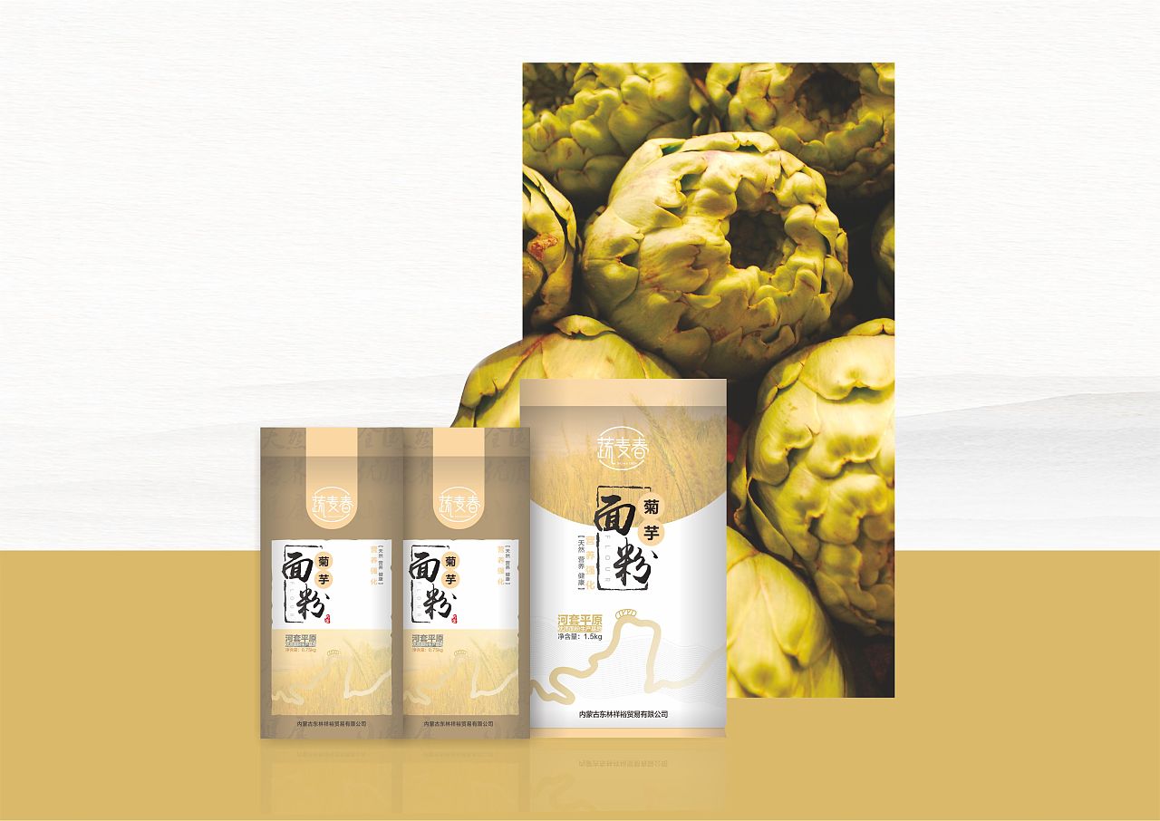 包裝設計專業(yè)能考公務員嗎？包裝設計有哪些課程？