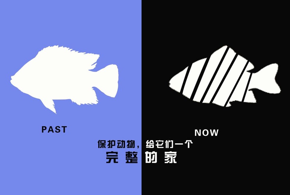 廣告設(shè)計(jì)制作有哪些要求？有哪些注意事項(xiàng)？