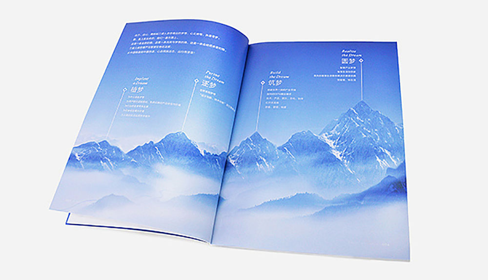 集團(tuán)畫冊設(shè)計,集團(tuán)畫冊設(shè)計公司