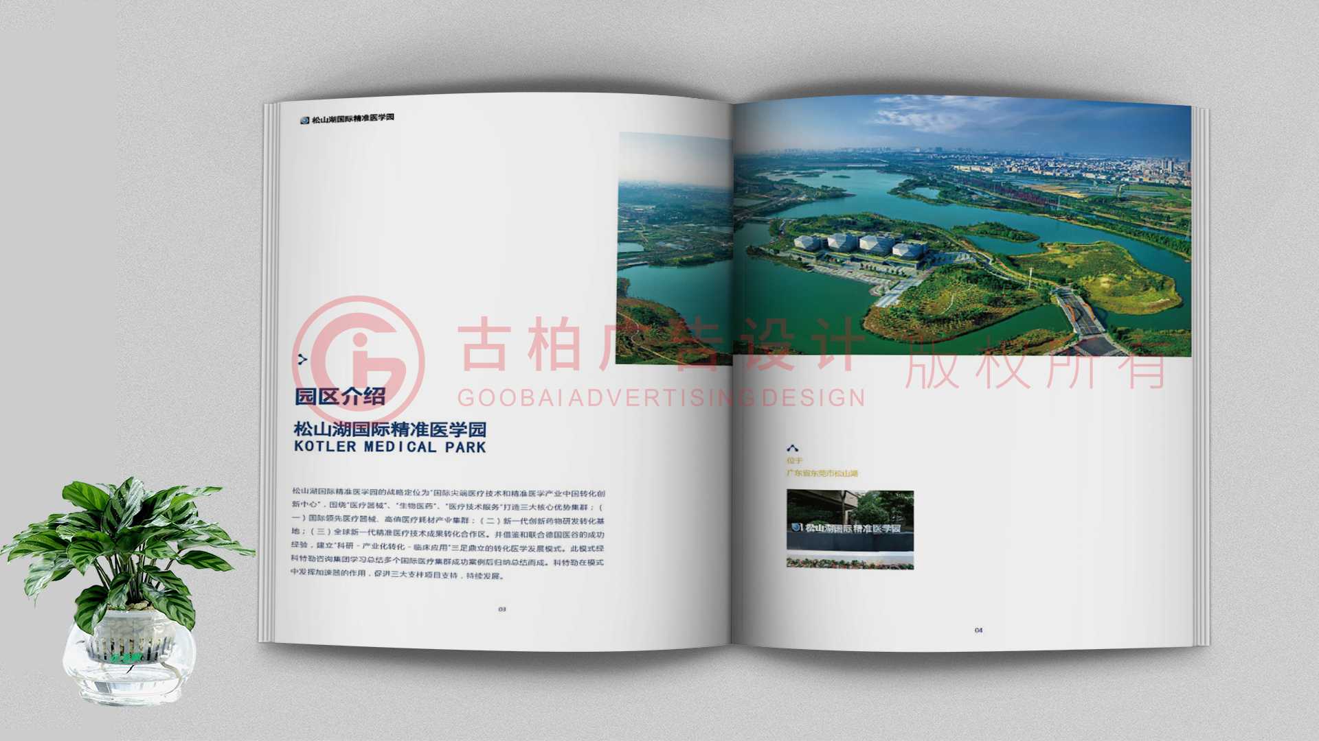 一本聚會(huì)紀(jì)念冊(cè)該如何通過(guò)排版來(lái)提升整體的美觀性？