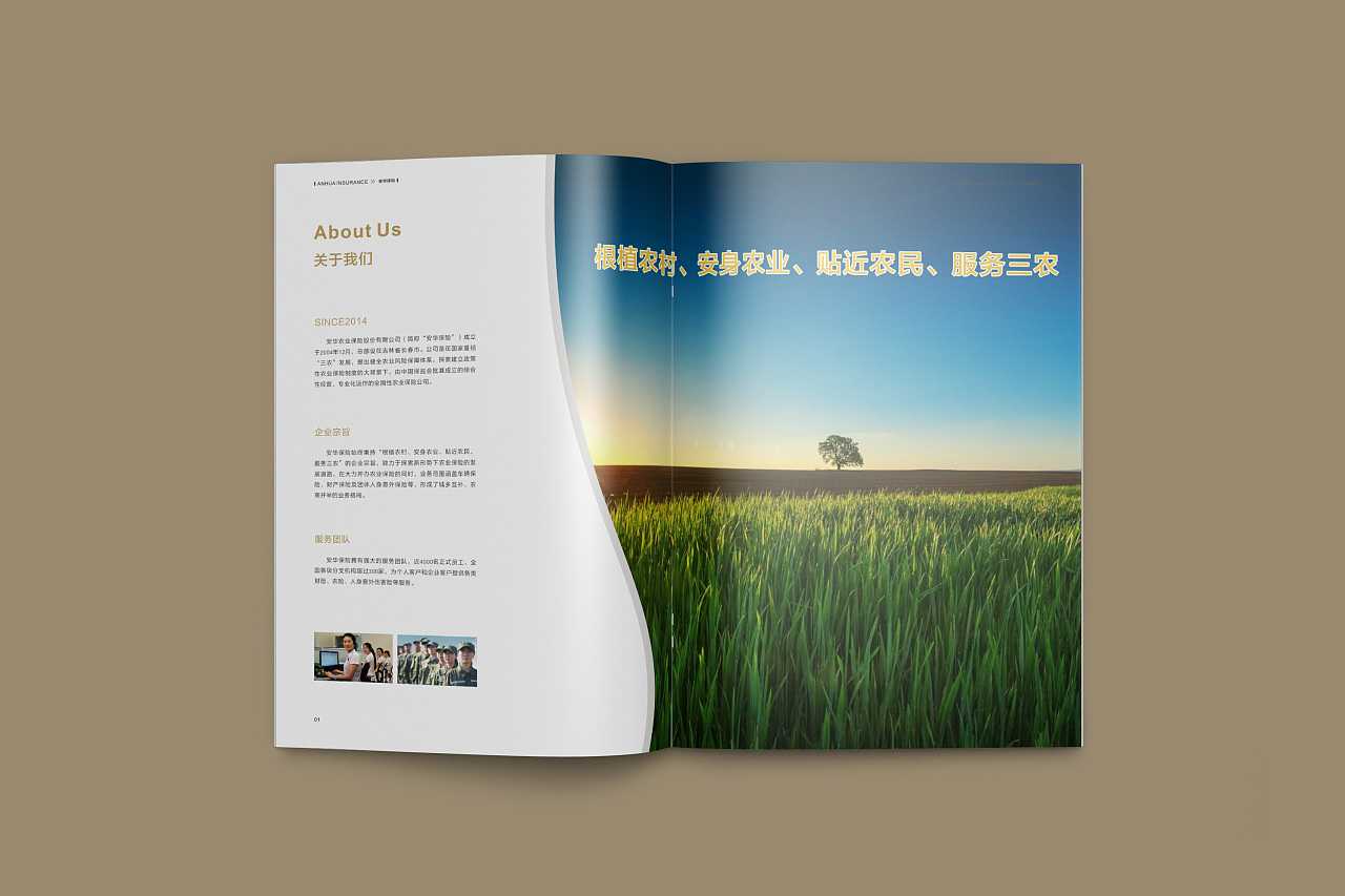 成都企業(yè)為什么要選擇高端宣傳冊設(shè)計(jì)公司呢？