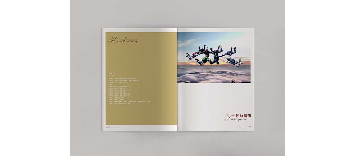 畫冊(cè)設(shè)計(jì)應(yīng)該需要怎么的設(shè)計(jì)理念？