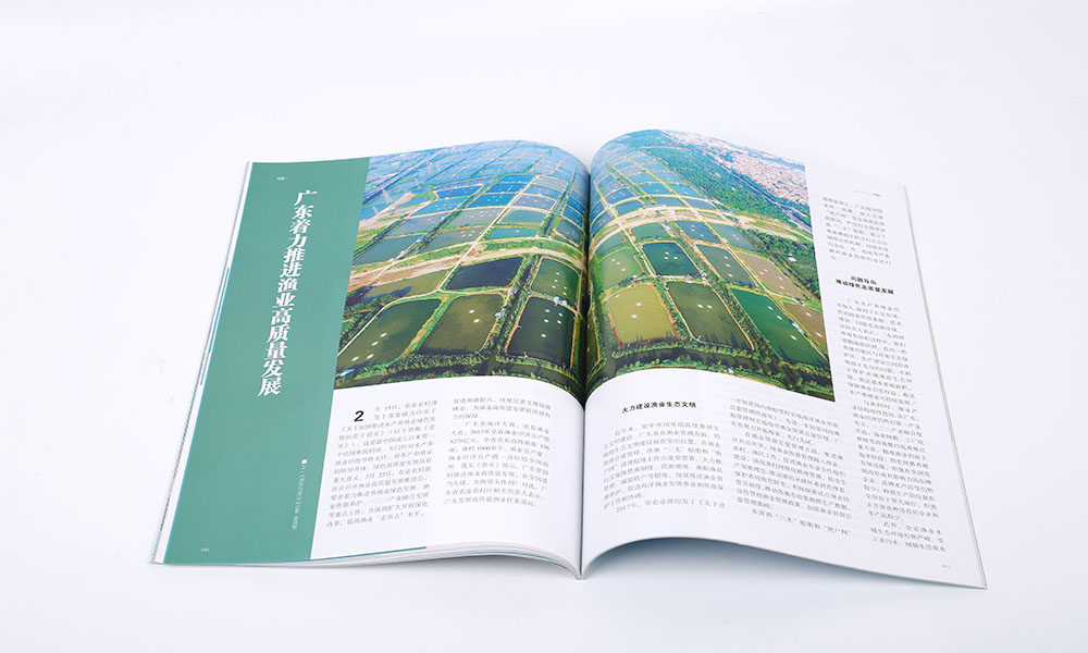 產(chǎn)品宣傳冊輸出多大可以？