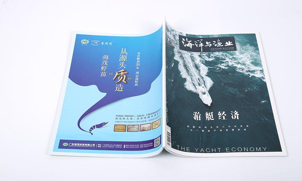 好看的宣傳冊(cè)設(shè)計(jì)制作哪家更好？