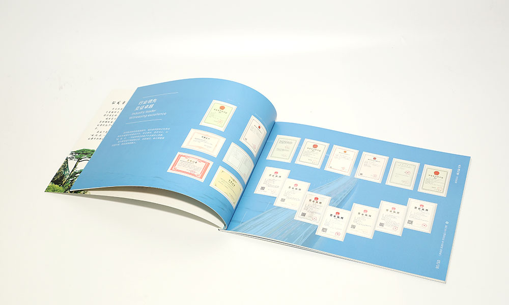 怎么設(shè)計畫冊價格什么樣？